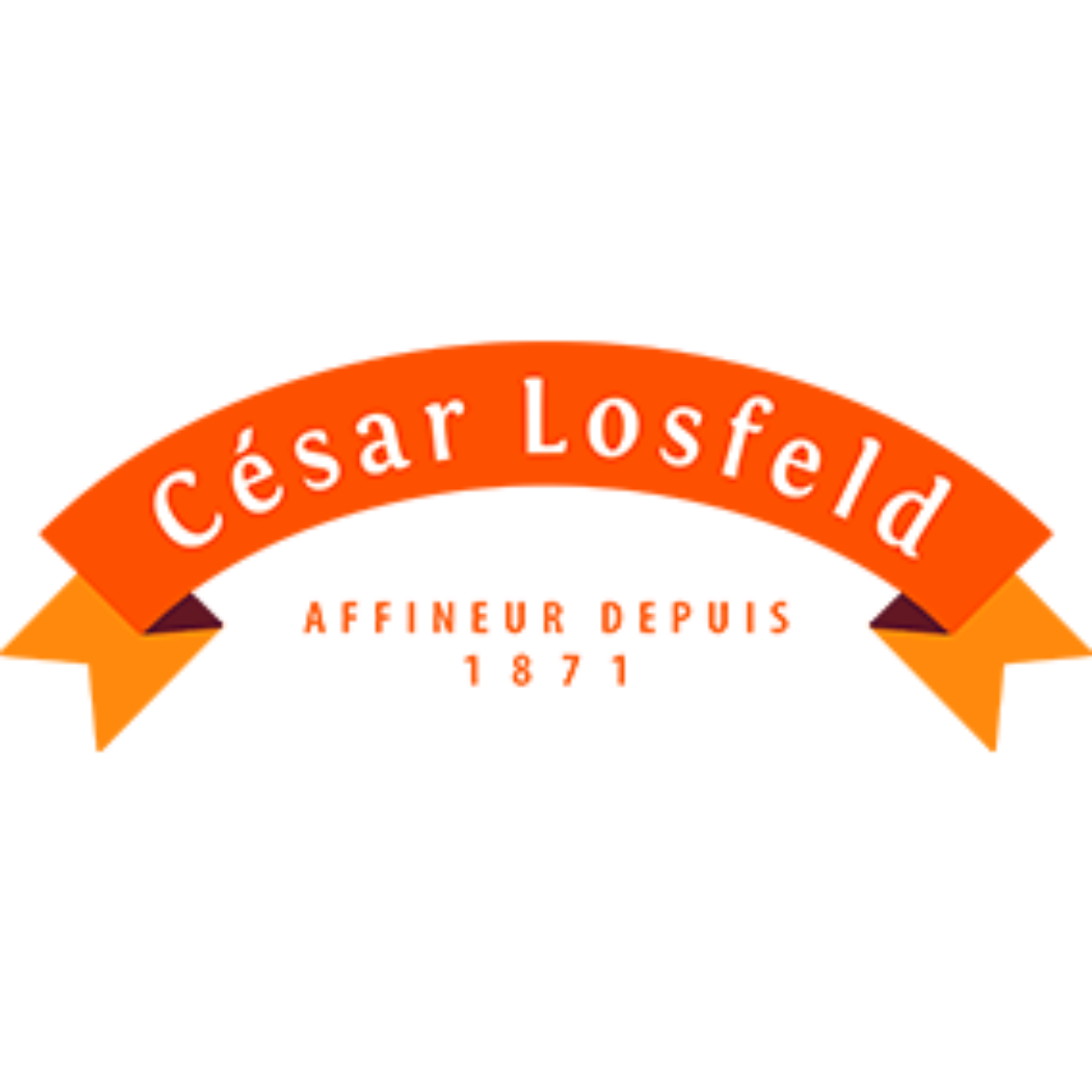 logo société césar losfeld