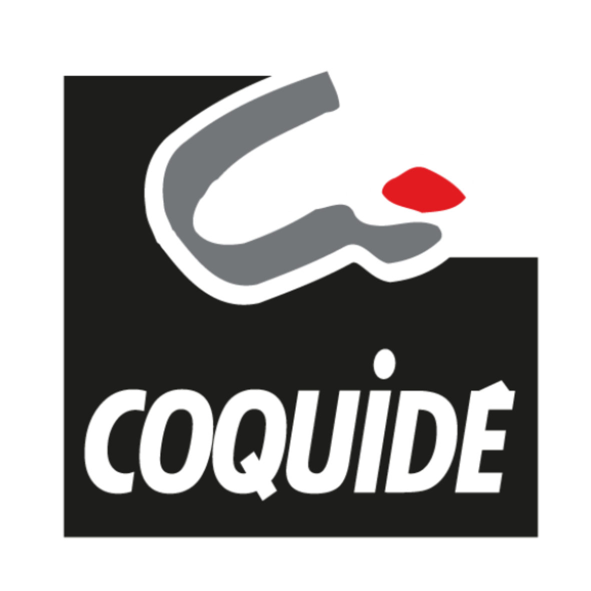 logo société coquidé