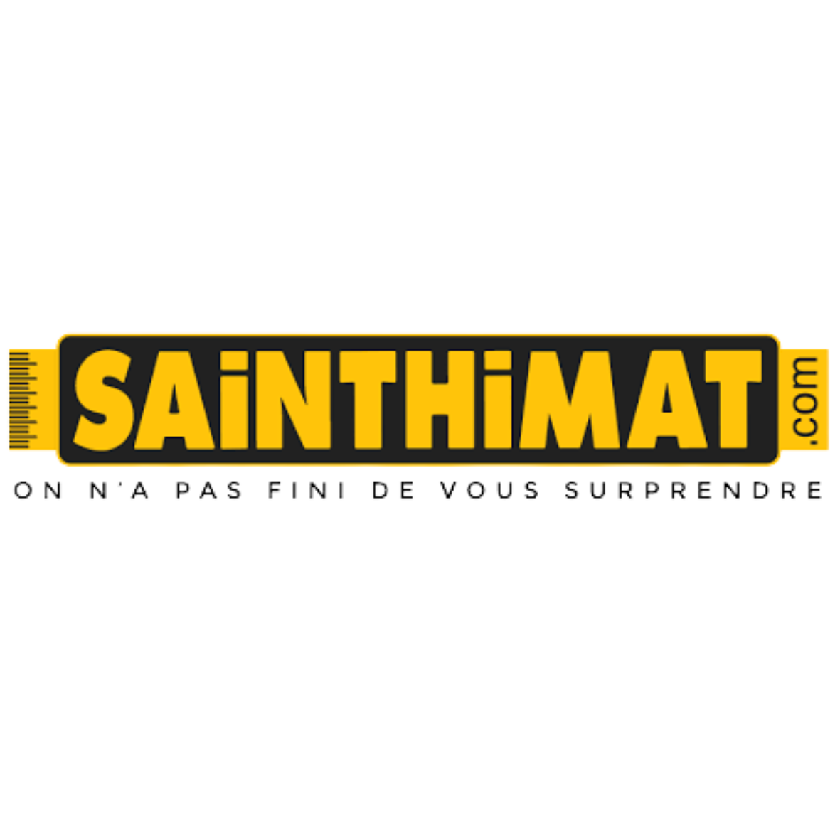 logo société sainthimat