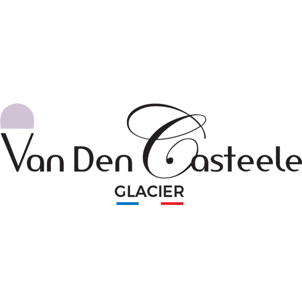 logo société van den casteele